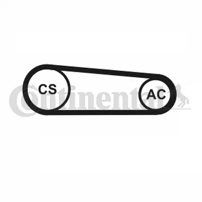 CONTINENTAL CTAM 4PK917 ELAST T1 2