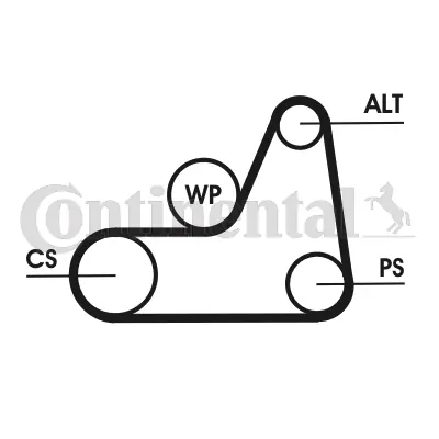 CONTINENTAL CTAM 6PK1042 ELAST T1 2