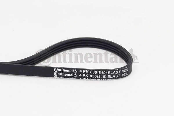 CONTINENTAL CTAM 4PK830ELAST — Полікліновий ремінь