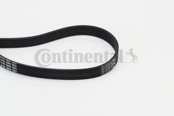 CONTINENTAL CTAM 6PK1660 — Полікліновий ремінь