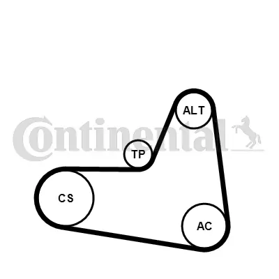 Jeu de courroies trapézoïdales à nervures Continental