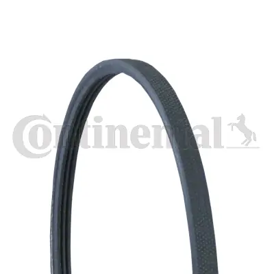 Courroie trapézoïdale à nervures CONTINENTAL CTAM 3PJ891