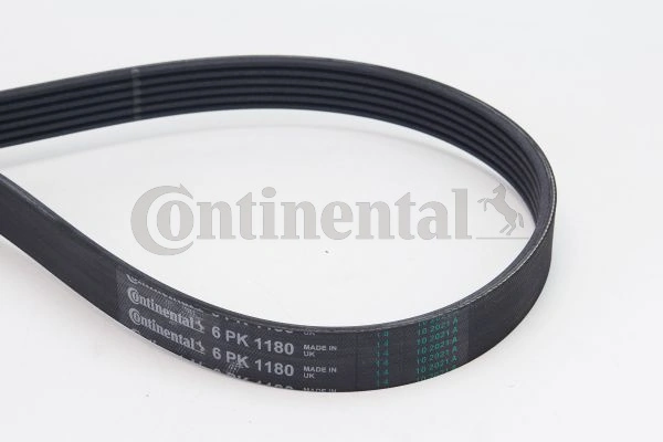 CONTINENTAL CTAM 6PK1180