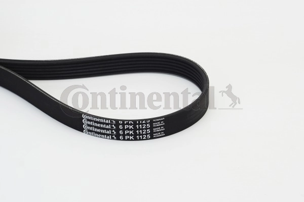 CONTINENTAL CTAM 6PK1125 — Полікліновий ремінь