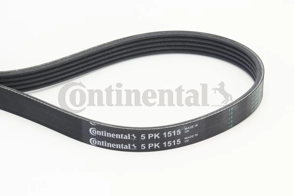 CONTINENTAL CTAM 5PK1515