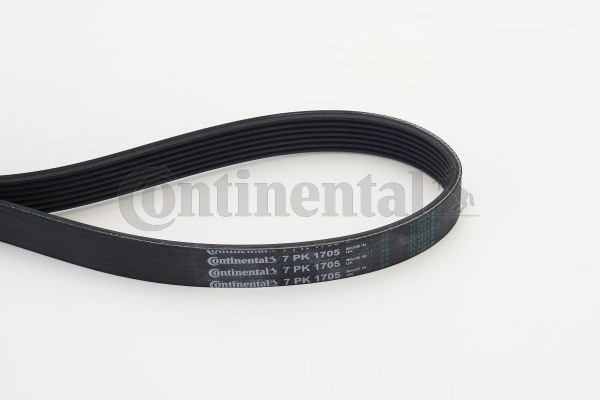 CONTINENTAL CTAM 7PK1705