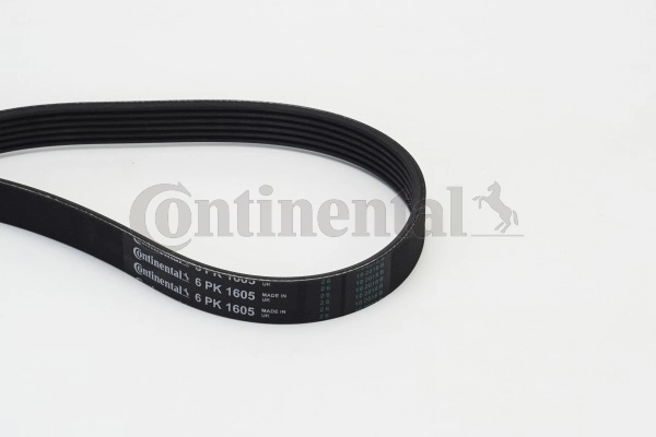 CONTINENTAL CTAM 6PK1605 — Полікліновий ремінь