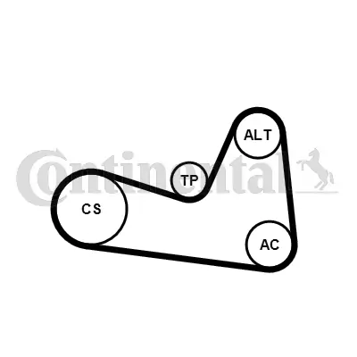 Jeu de courroies trapézoïdales à nervures Continental