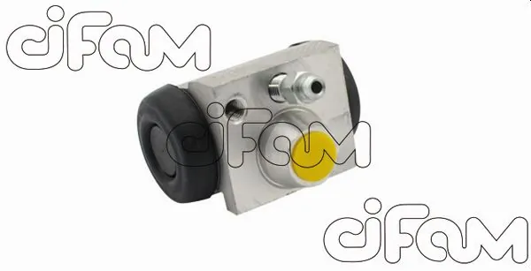 CIFAM 101-875