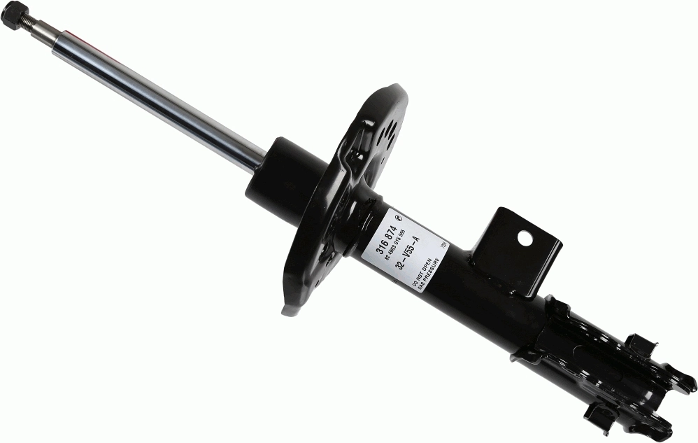 SACHS 316 874