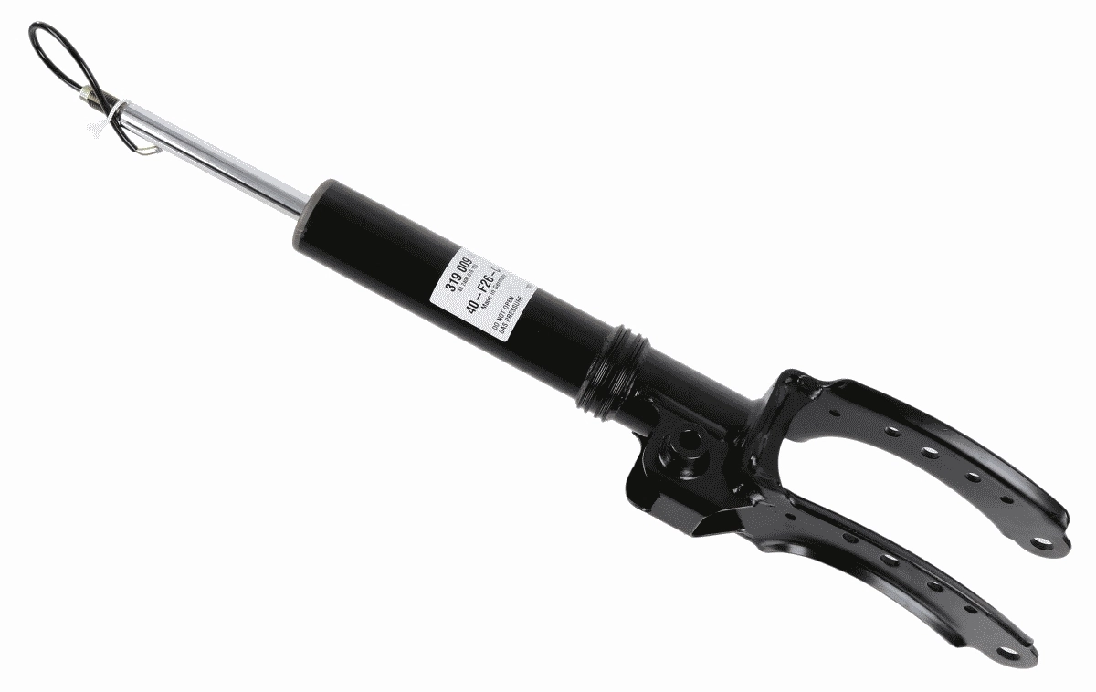 SACHS 319 009