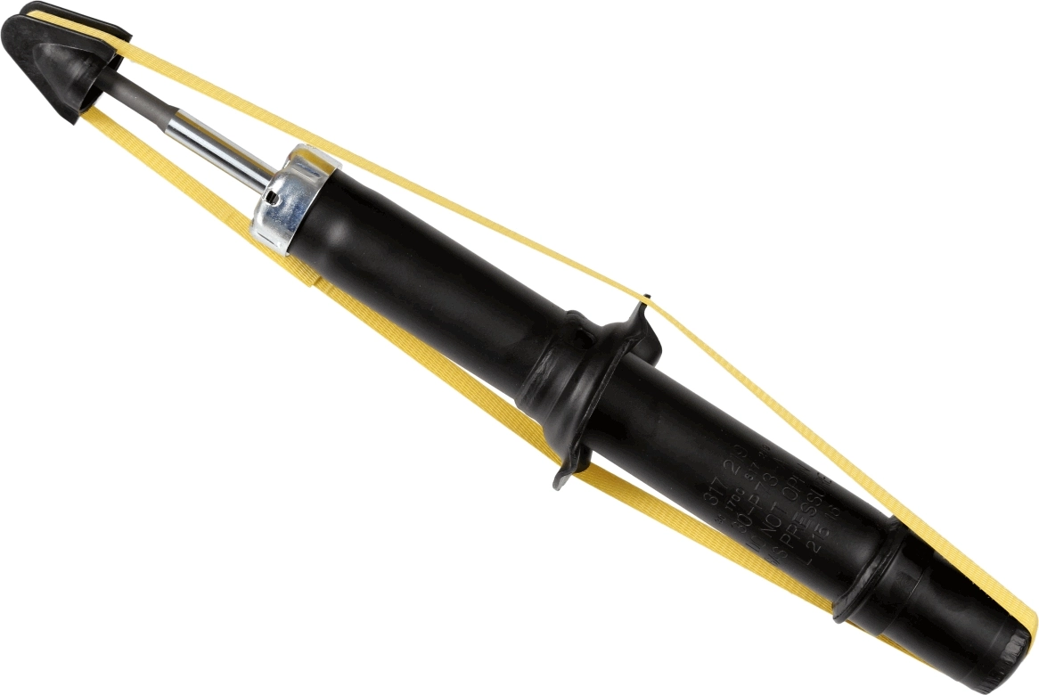 SACHS 317 219