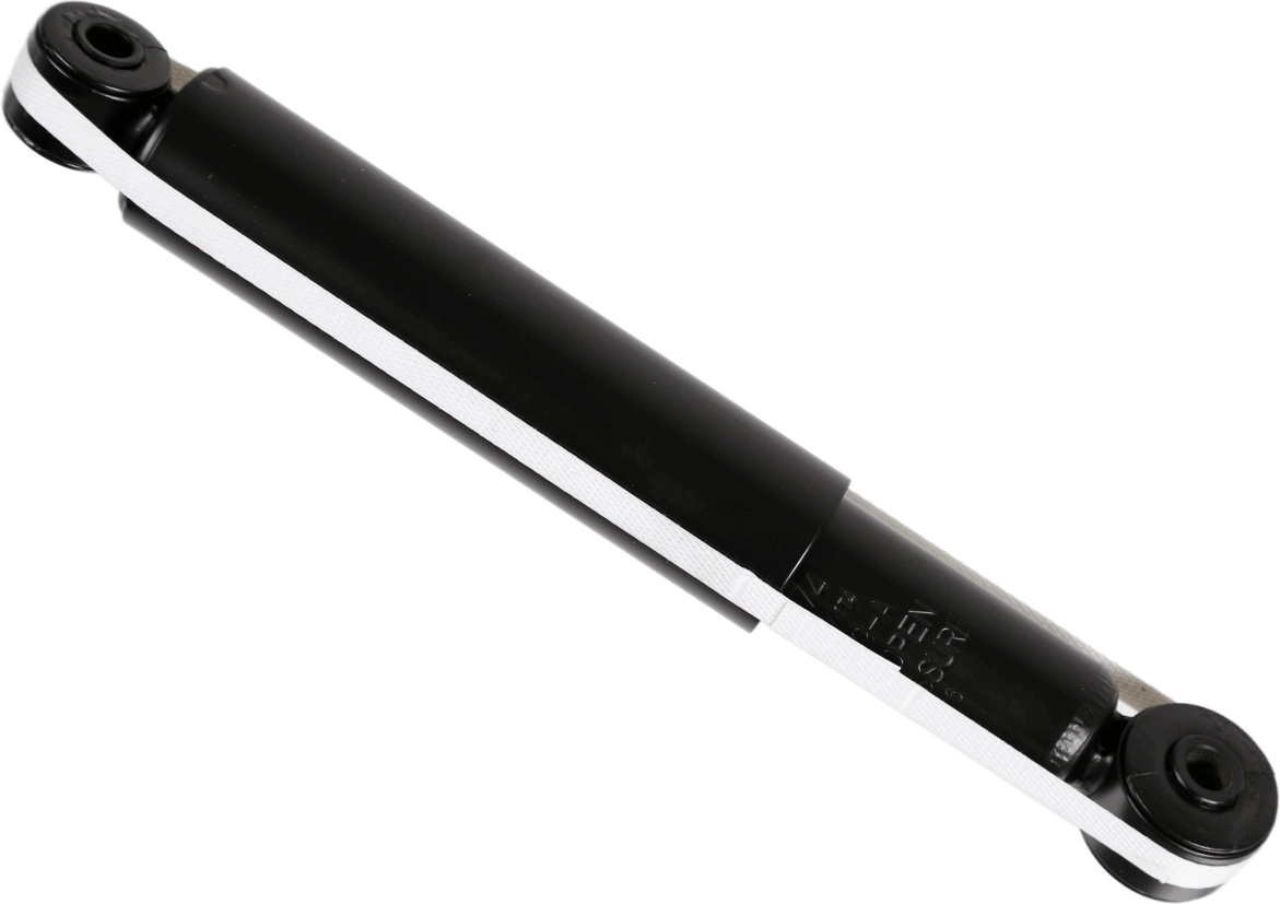 SACHS 317 174