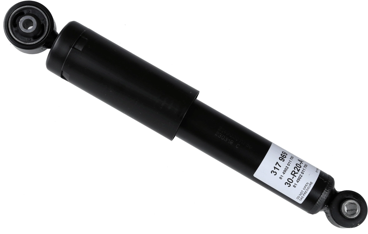 SACHS 317 969