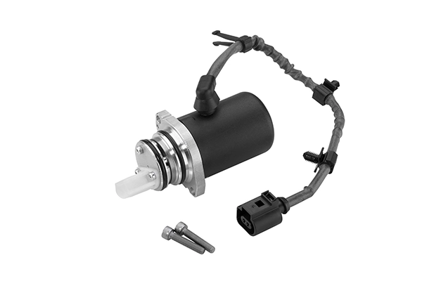 BORGWARNER DS118613 — Електричний насос для відкачування масла