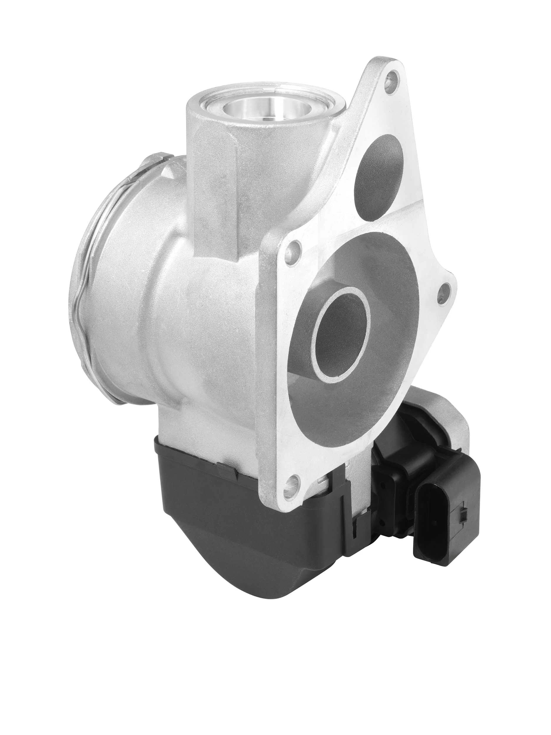 Vanne EGR BorgWarner 7256D