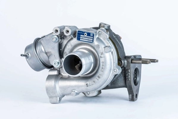 BORGWARNER 54389880018