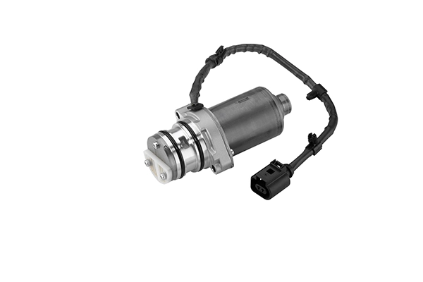 BORGWARNER DS119866 — Електричний насос для відкачування масла