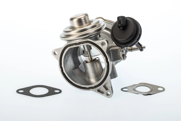 Vanne EGR BorgWarner 7650D