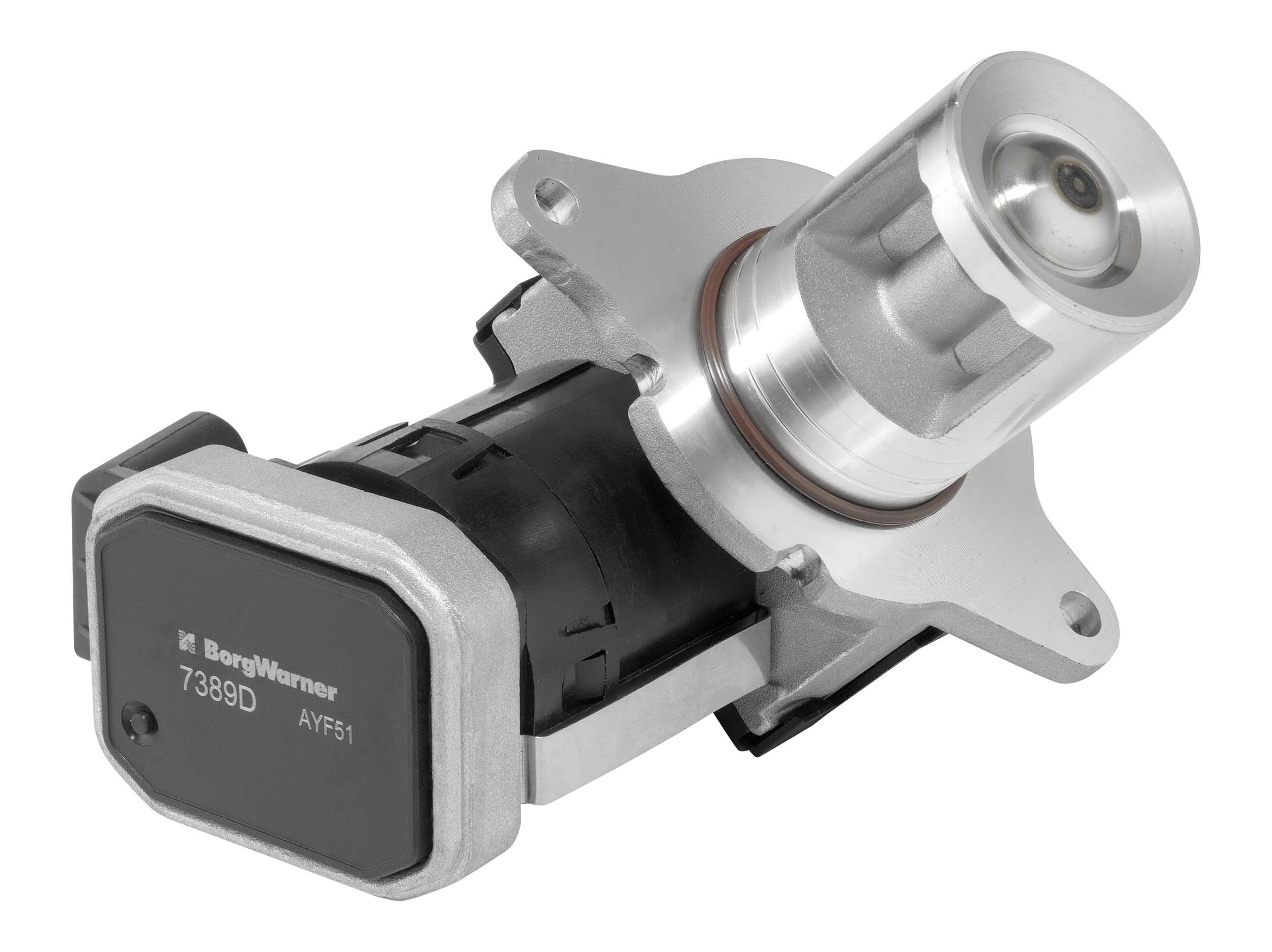 Vanne EGR BorgWarner 7389D