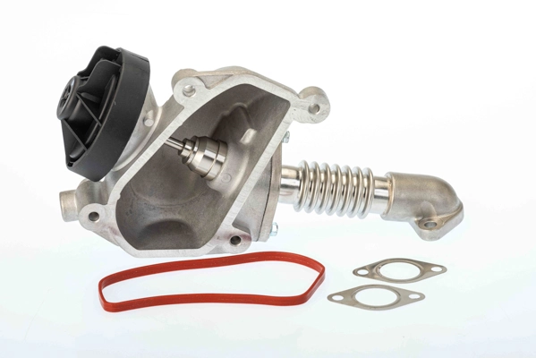 Vanne EGR BorgWarner 7206D