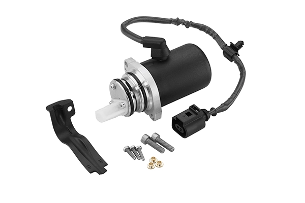 BORGWARNER DS118622 — Електричний насос для відкачування масла
