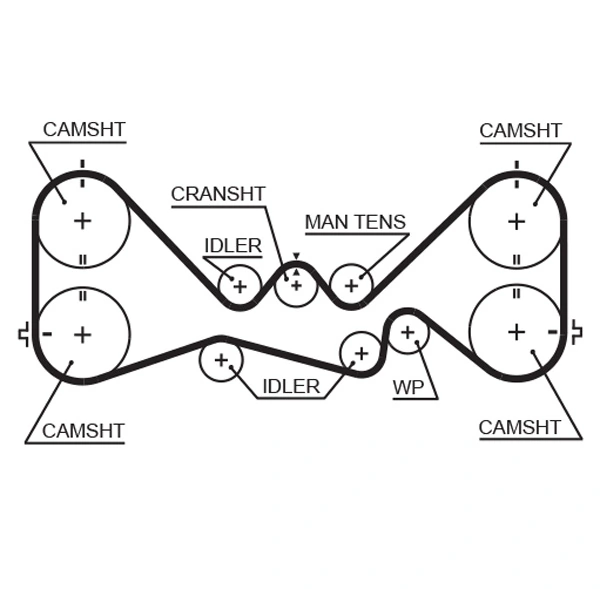 Courroie crantée GATES 5384XS