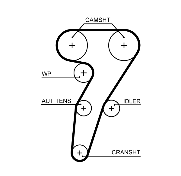 Courroie crantée GATES 5653XS