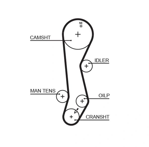 Courroie crantée GATES 5389XS