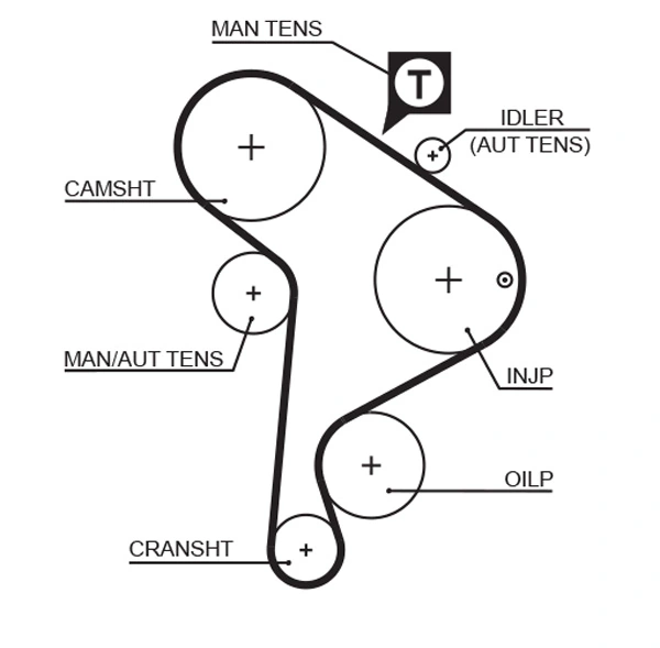 Courroie crantée GATES 5223XS
