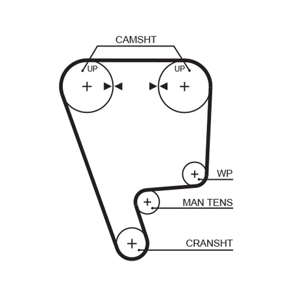 Courroie crantée GATES T216RB
