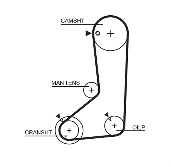Courroie crantée GATES 5254XS