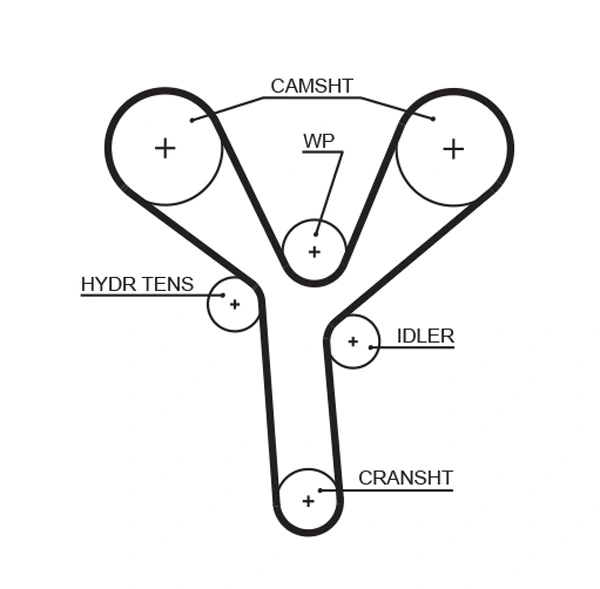 Courroie crantée GATES T329RB