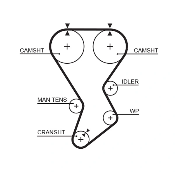 Courroie crantée GATES 5351XS