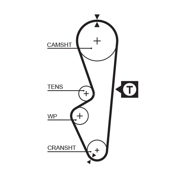 Courroie crantée GATES 5070
