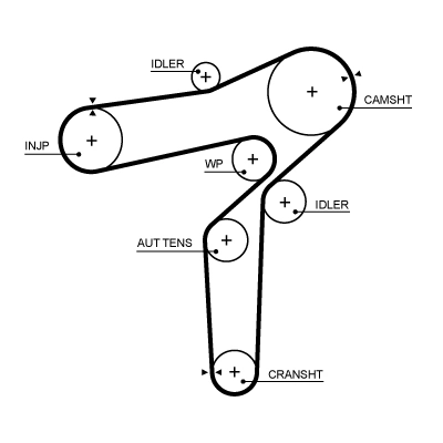 Courroie crantée GATES 5719XS