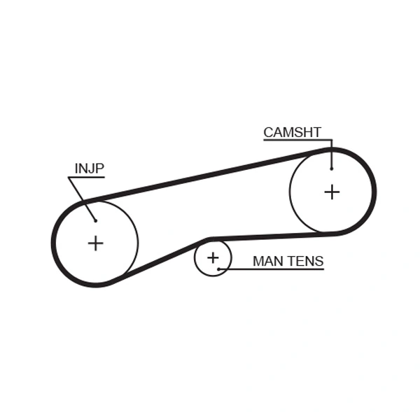 Courroie crantée GATES 5093