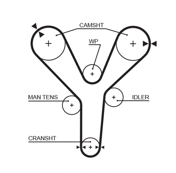 Courroie crantée GATES 5377XS