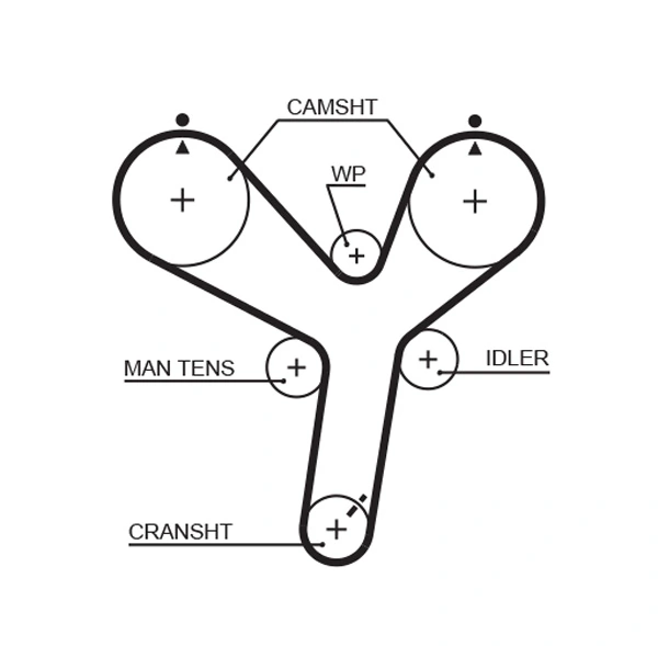 Courroie crantée GATES 5536XS