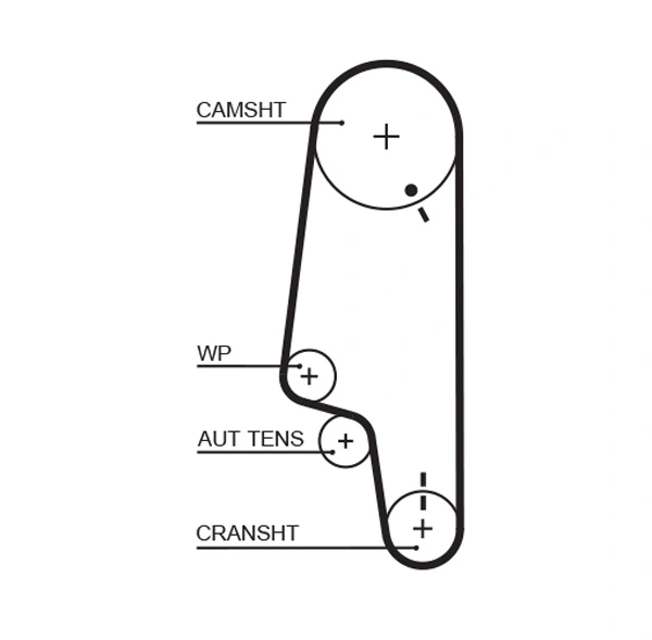 Courroie distribution GATES PowerGrip VW POLO III (6N1) 1.0