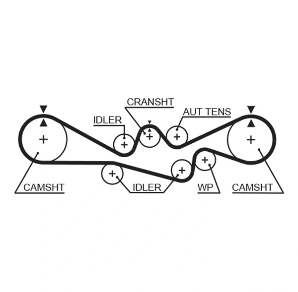 Courroie crantée GATES 5241