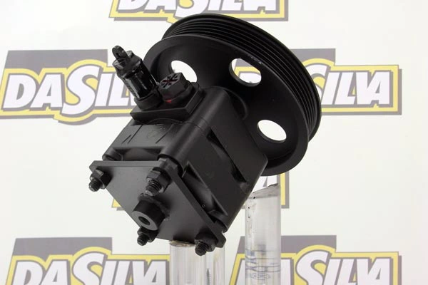 Pompe hydraulique, direction DA SILVA DP2987