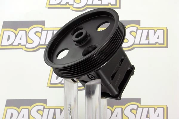 Pompe hydraulique, direction DA SILVA DP2987