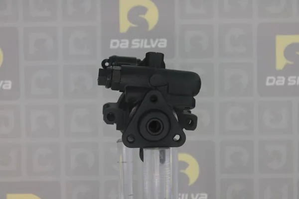 Pompe hydraulique, direction DA SILVA DP2223