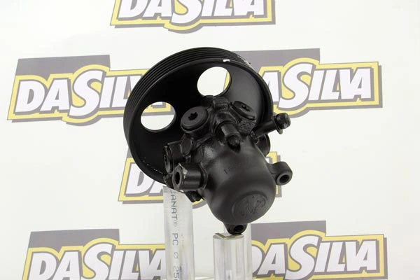 Pompe hydraulique, direction DA SILVA DP2892