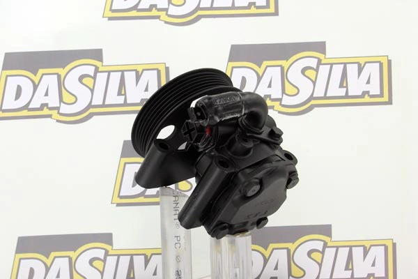 Pompe hydraulique, direction DA SILVA DP2889