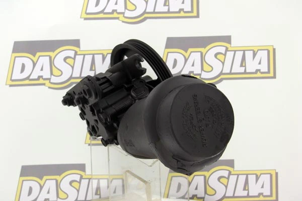 Pompe hydraulique, direction DA SILVA DP2949