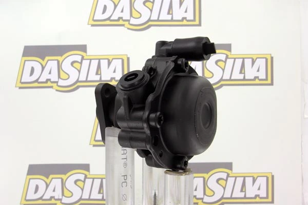 Pompe hydraulique, direction DA SILVA DP2886
