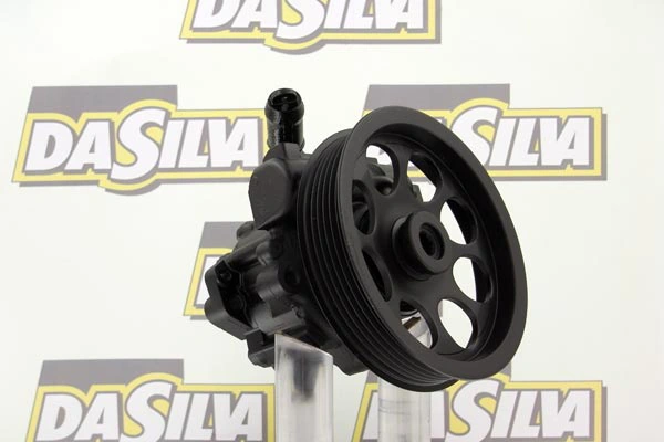 Pompe hydraulique, direction DA SILVA DP2874