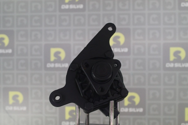 Pompe hydraulique, direction DA SILVA DP2199